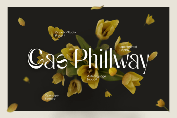 Cas Philway: A Display Font That Makes Your Brand Look Effortlessly Beautiful
